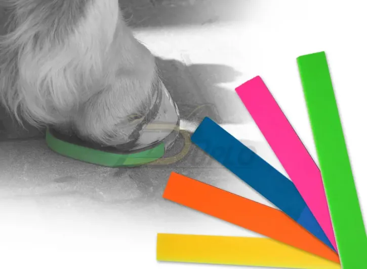 Tiras Coloreadas – Toques vibrantes & extensión mínima de la herradura