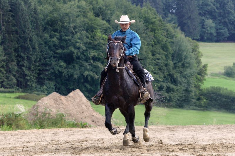 black quarter stallion on the rundown with alternative hoof protection and sliders