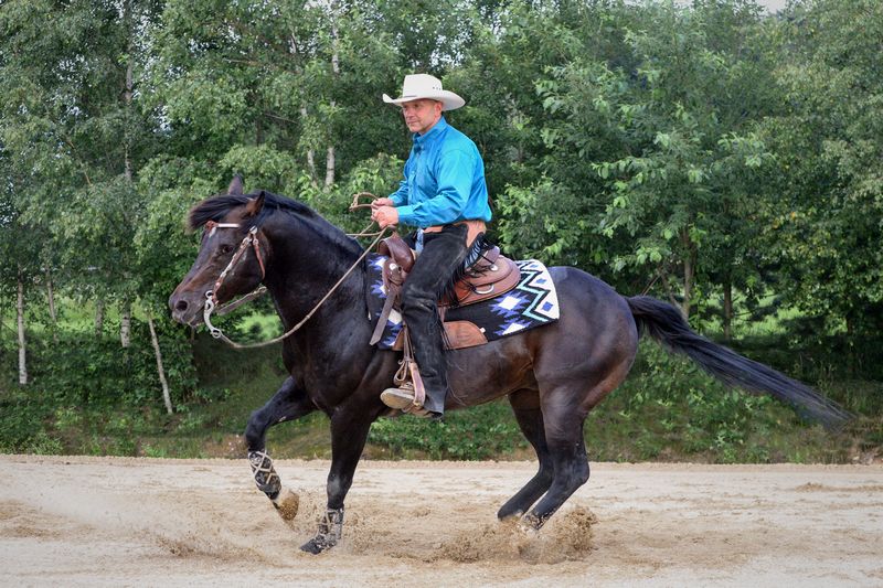 Quarterhorse in spin - synthetic horseshoes with metal inlay on the front, sliders on the hind hooves