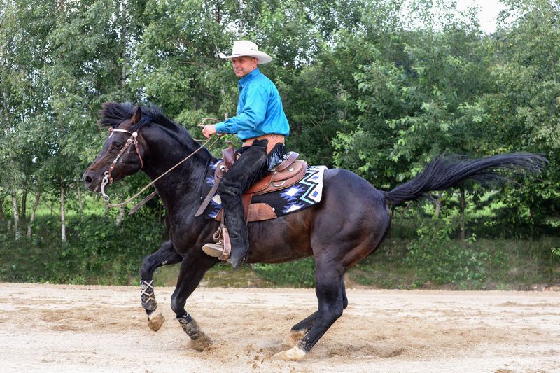 Quarter in spin shod with hybrid shoes on the front hooves and sliders on the back hooves