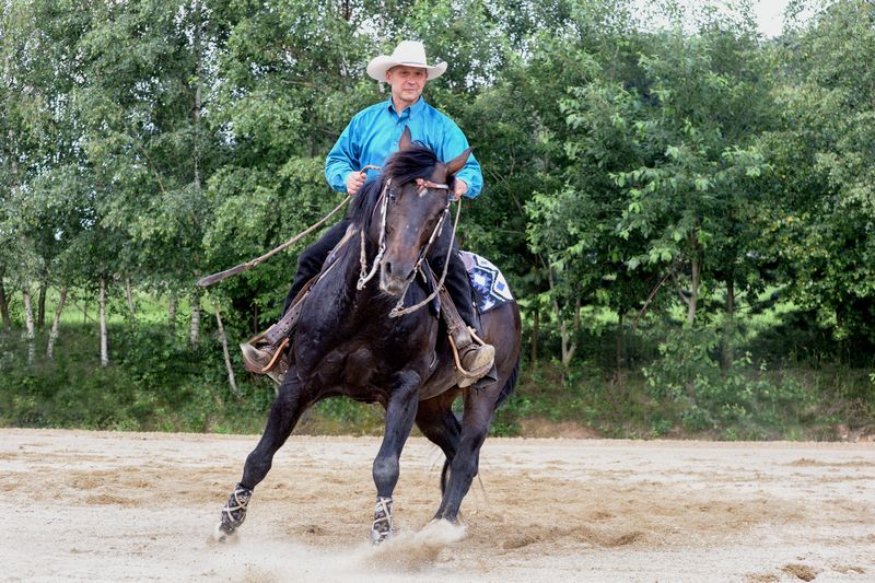 Quarter stallion in spin with urethane horseshoe with metal core also known as hybrid horseshoes on the front hooves and sliders on the hind hooves