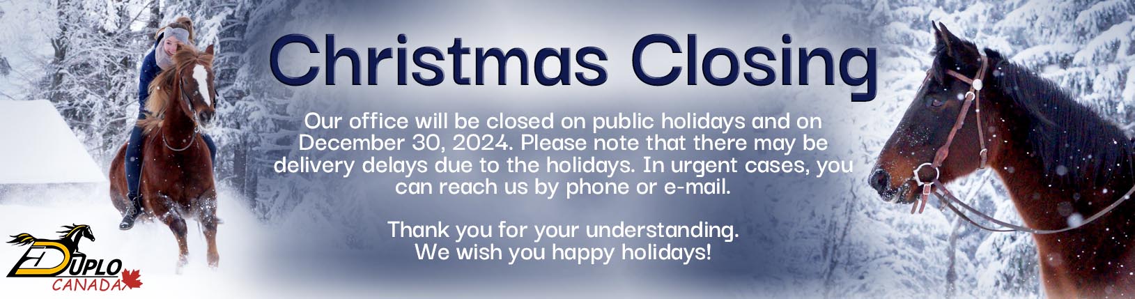 Christmas Closing