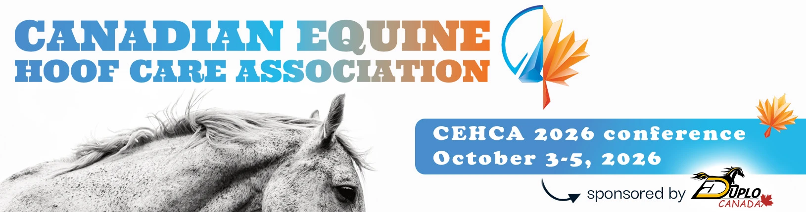 CEHCA