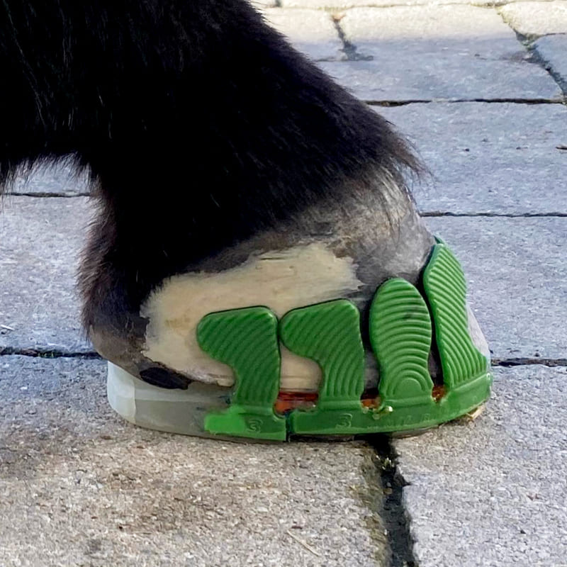 side view of a donke hoof with a glue-on composite horseshoe with plastic sheath and solid metal inlay