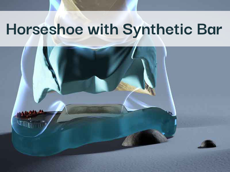 visualization of hoof mechanism with synthetic shoe featuring a flexible heart bar