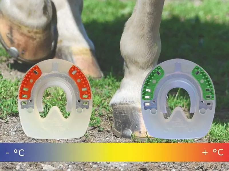 cheval au pas sur un pré, fers en plastique et variation de température liée à l’usure