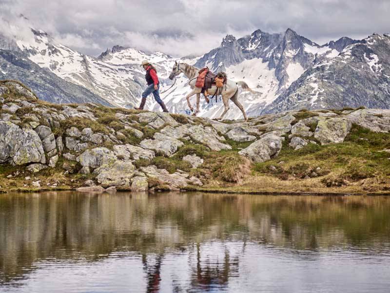 A white horse is being led through the Alps in front of a lake along a rocky path.