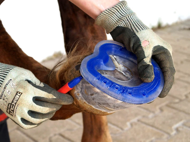 The farrier or hoof care professional marks the hoof shape onto the base model for the upcoming glue-on application. He is using the blueline® evo! combination horseshoe by Wolf Busch®.