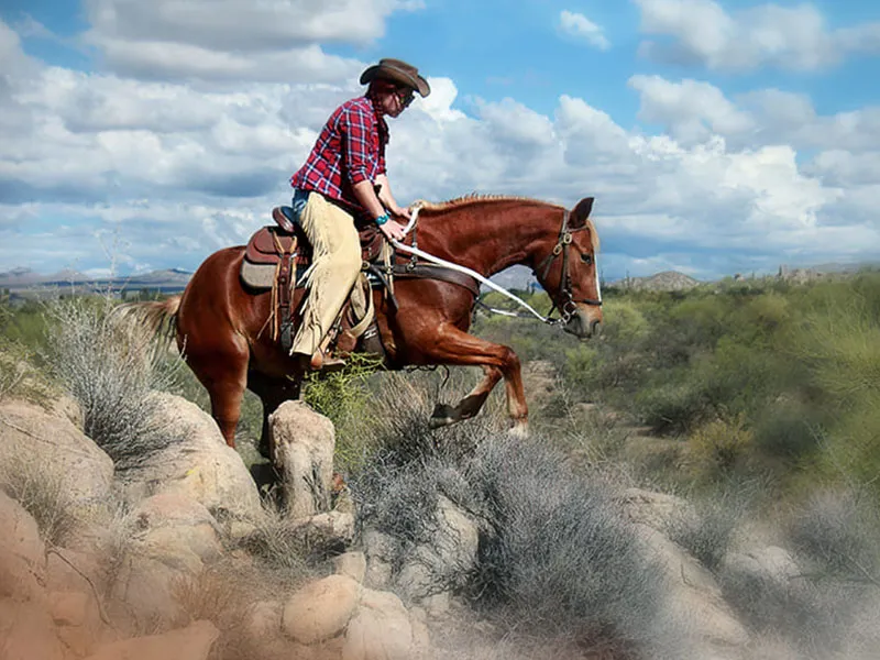 Horse in rocky desert terrain in Arizona: demanding, stony riding ground, trail riding.