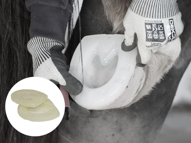 The farrier tests the position of the glue-on base plate on the horse’s hoof. He is wearing WonderGrip cut-resistant gloves.
