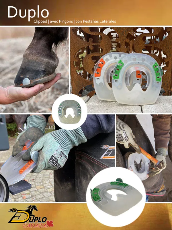 Collage de herraduras compuestas con revestimiento sintético amortiguador, núcleo metálico y pestañas laterales – para un casco de caballo sano. Vistas detalladas del ajuste de la herradura, el clavado y el herraje terminado en la mano del herrador.