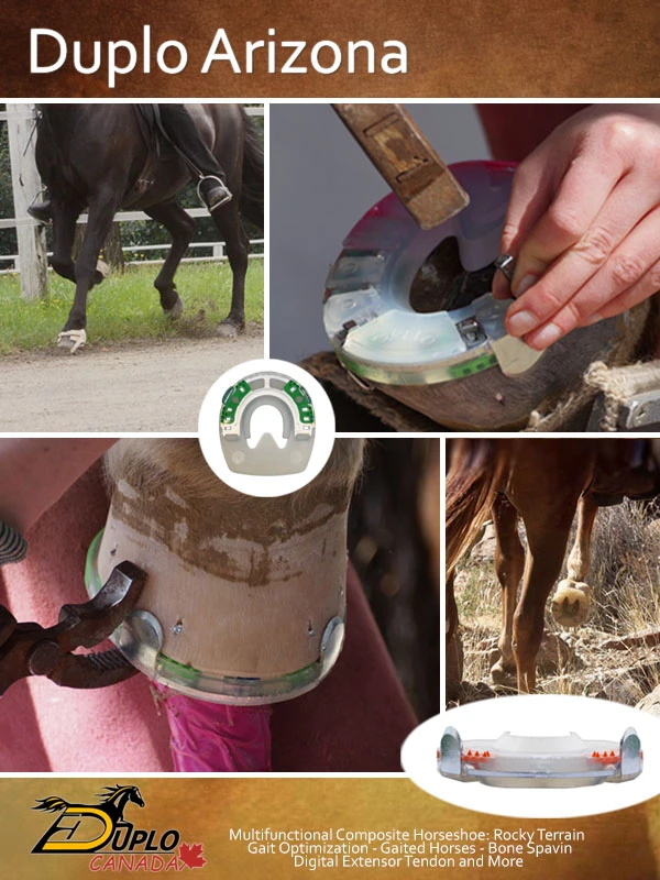 Collage of composite horseshoes with quarter clips, tread profile, and a steel border around the toe. The image shows different possible applications: for rocky terrain, for gait optimization in gaited horses, as a spavin shoe, for issues involving the toe extensor, and more.