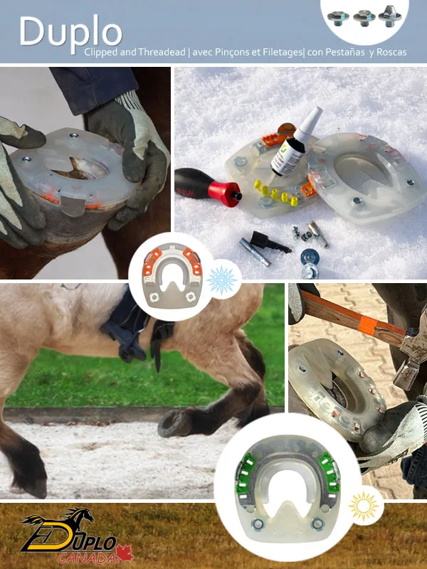 Duplo hybrid horseshoe with side clips and M8 threads for traction studs in summer and winter use.