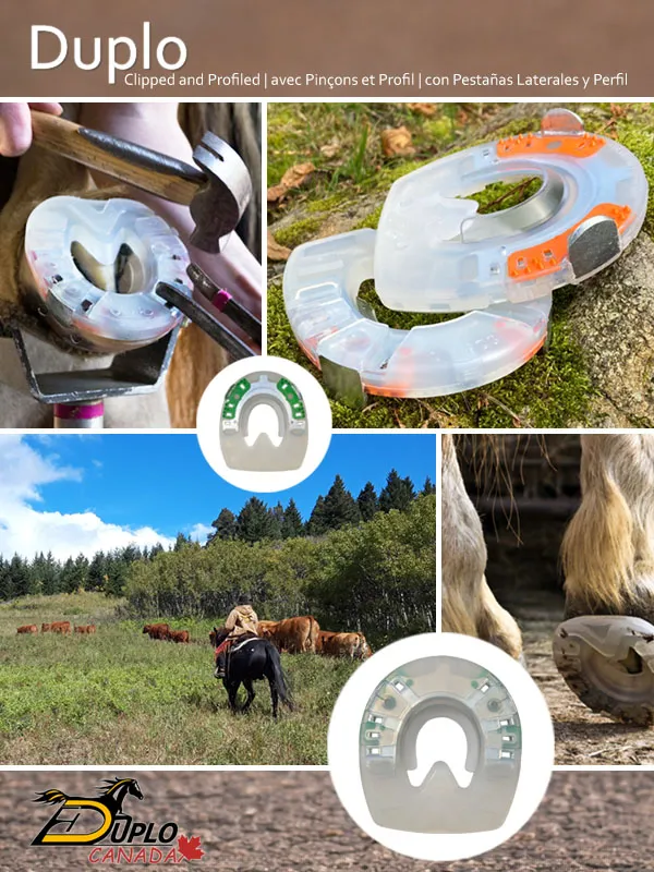 Collage für Verbundhufeisen mit Seitenkappen und Profil - ein stoßdämpfender Hufschutz mit Kunststoffmantel und stabilem Metallkern.