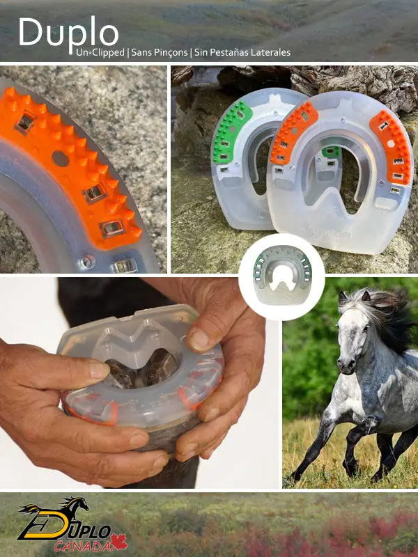 Collage de una herradura compuesta sin pestañas, que ofrece una libertad de movimiento óptima para el estuche córneo y un menor riesgo de lesiones. Disponible en diferentes formas para manos y patas, y en versiones de dureza para verano e invierno.