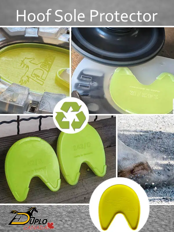 Duplo Hoof Sole Protector para cerrar la abertura de la suela de una herradura sintética o compuesta.