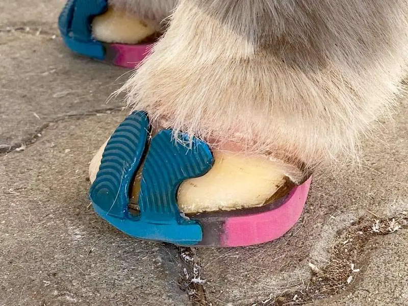 pony hooves with a glue-on horseshoe that has been extended with a pink colored strip