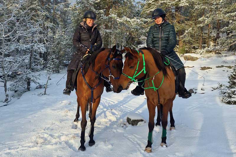 the riders from Stockholm Endurance ride their horses in the snow in winter