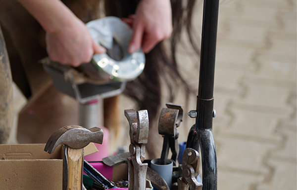farrier tools and a hoof with a composite horseshoe in the background