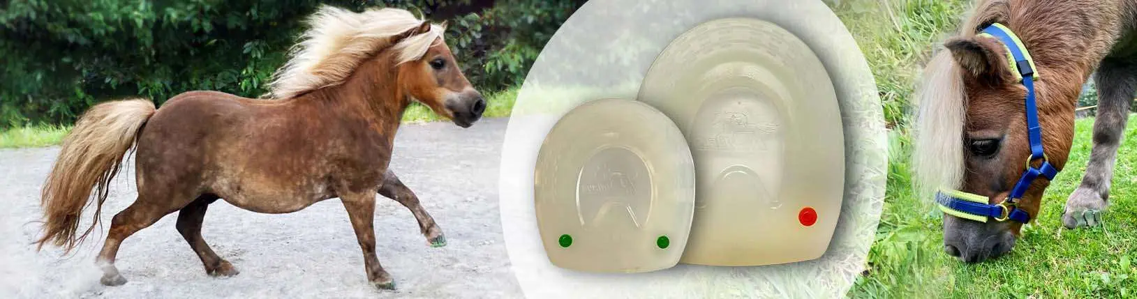 Example image showing different sizes and shapes of plastic pony horseshoes.