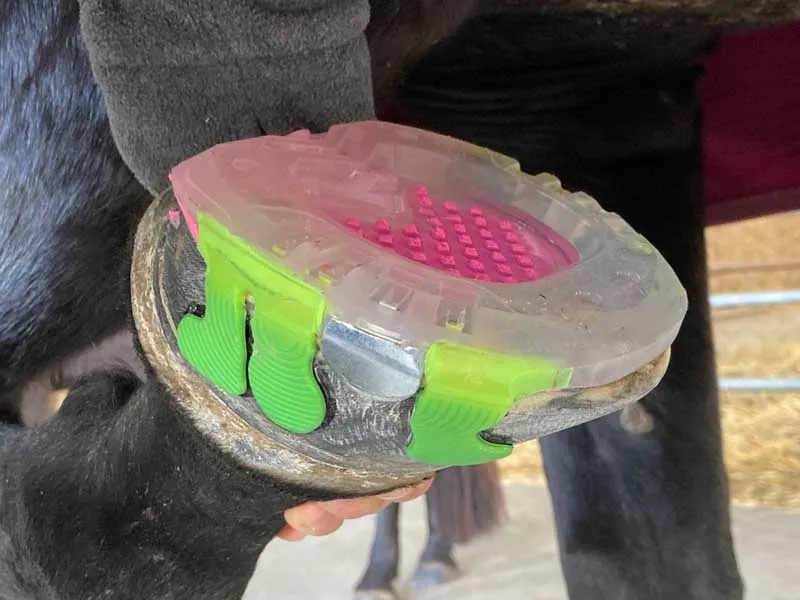 glue-on horseshoe with side clips and a closed sole, with pink SHUDIM padding material on the horse’s hoof.
