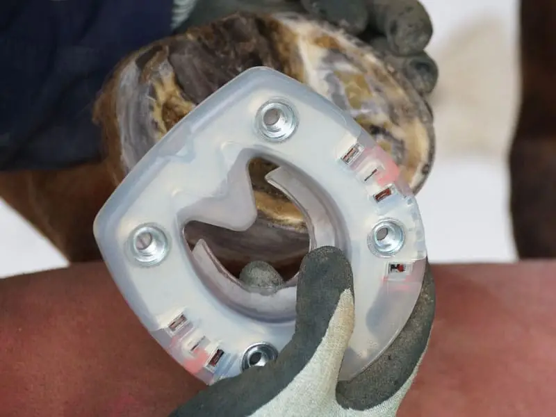 shock-absorbing composite horseshoe with four stud holes, designed for show jumping and eventin, on the hoof