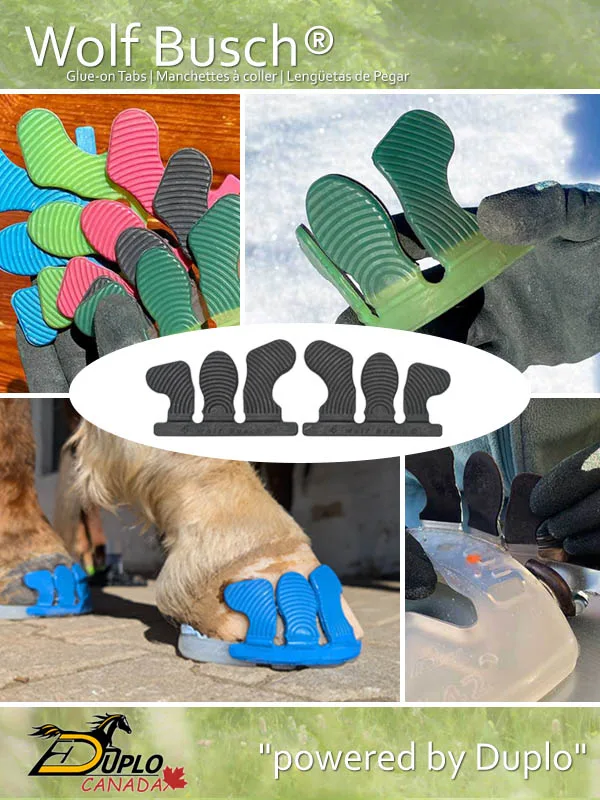 Wolf Busch glue-on tabs – the bestseller for a precise and reliable glue-on horseshoe solution for your horse.