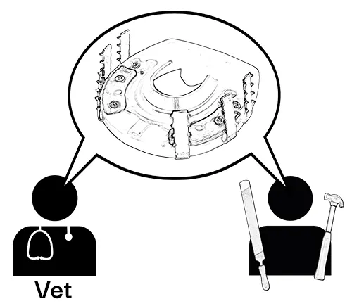 Veterinarian and farrier working together using cast hooks for a hoof cast / cast-shoe.