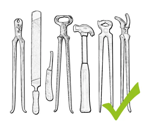 Seven typical horseshoeing tools: nail puller, hoof rasp, hoof knife, hoof nippers, farrier hammer, clinching tongs, and clinch cutter.