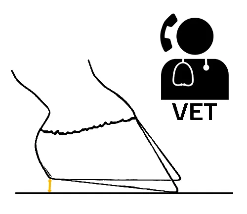 Heel elevation with a veterinarian symbol, indicating that a veterinarian should be involved when applying wedge shoeing to change the hoof angle.
