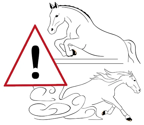 Warning notice for riding disciplines involving high and shear forces on hoof protection, such as eventing, show jumping, barrel racing and reining.