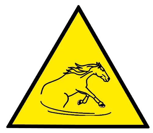 Warning: Risk of slipping – indicating that used shoes may have different traction properties than new shoes.