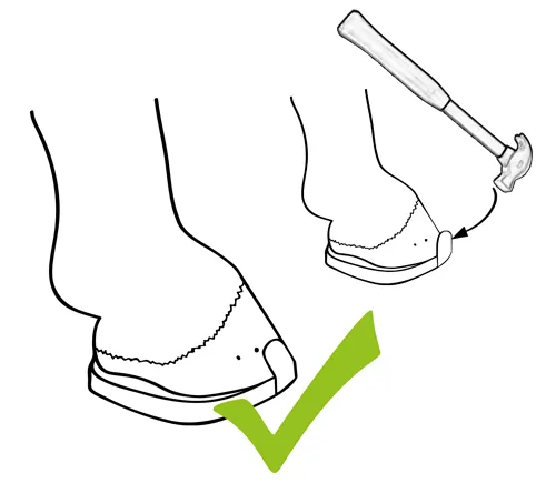 The side clip of the horseshoe is being shaped to fit the hoof wall angle using a hammer.