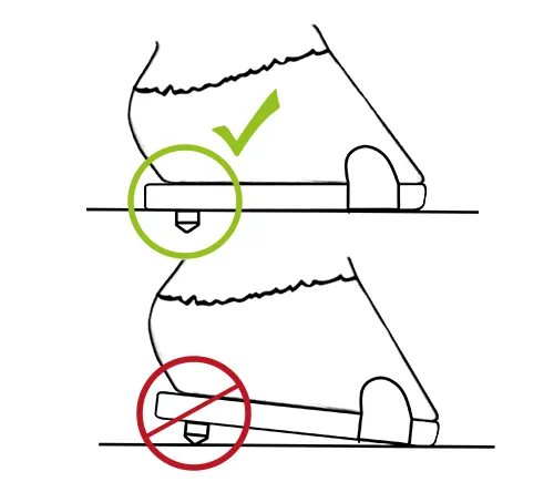 Correct: Studs sink into soft ground. Incorrect: Studs do not sink into hard ground and thus alter the hoof angle.