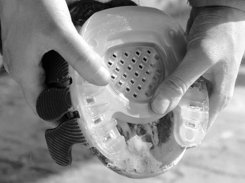 Horseshoe with open toe with adhesive tabs for use as a laminitis shoe is held on the hoof