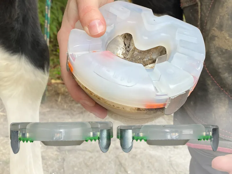 Comparison showing the difference between the urethane coating of HDS horseshoes and standard models