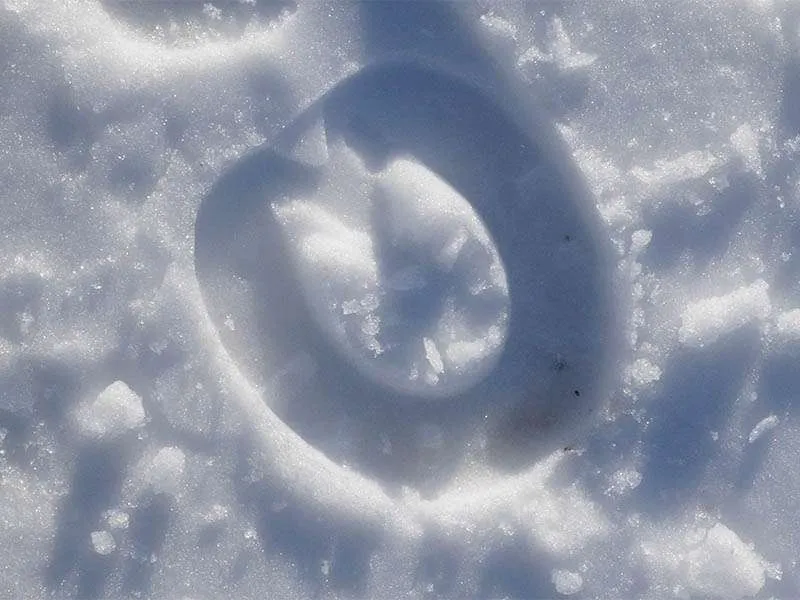 Hoof print in the snow of a horse shod with a Duplo horseshoe.