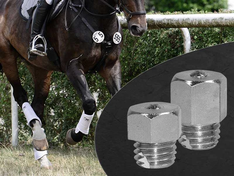 Horse galloping over a field in an eventing competition