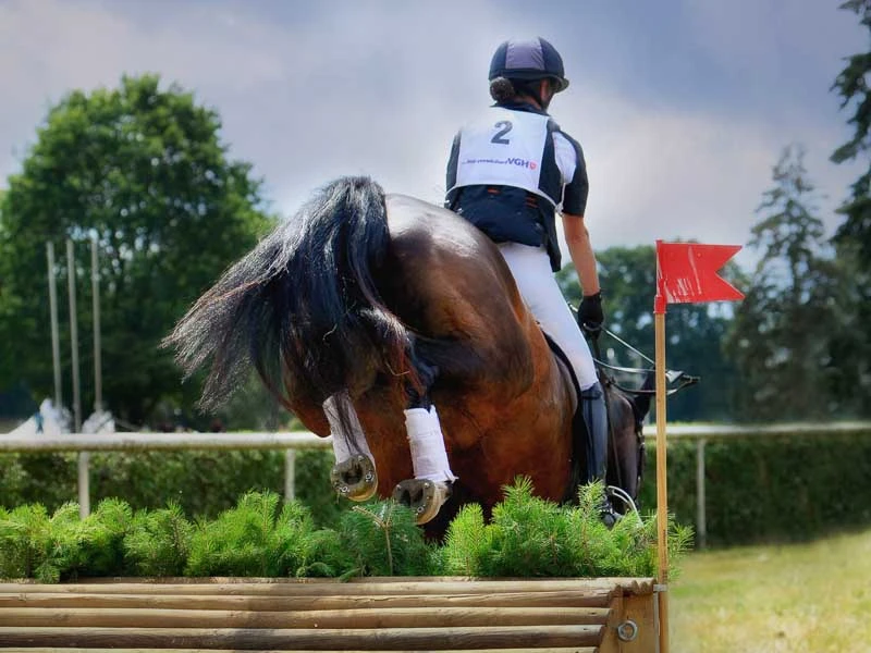 a brown show jumping horse jumps over a wooden obstacle in a tournament