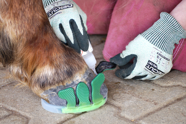 Gluing the Glue-On Tabs Wolf Busch to the Hoof with Instant Adhesive Gluing the Glue-On Tabs Wolf Busch to the Hoof with Instant Adhesive