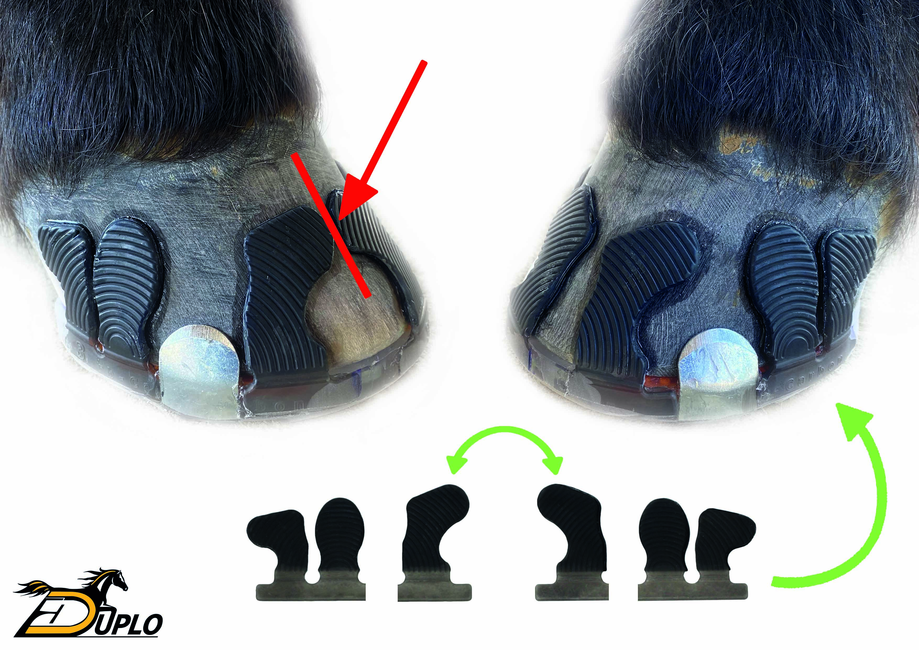 Using Glue-On Tabs Wolf Busch with Clipped Duplo Composite Horseshoes Using Glue-On Tabs Wolf Busch with Clipped Duplo Composite Horseshoes