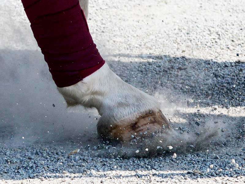 A horse hoof striking a rocky ground, with stones flying up.