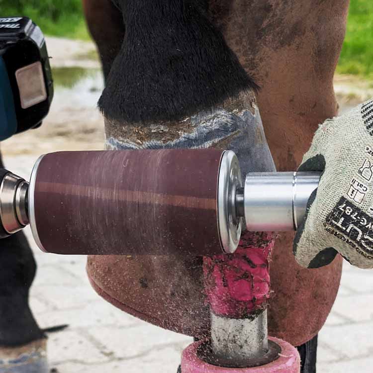 Hoof Buffer