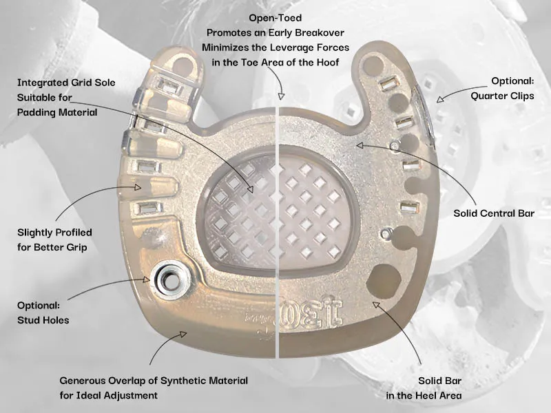 Open-toed composite shoe, colloquially also known as laminitis shoe - a comparison of the hoof side and bottom side