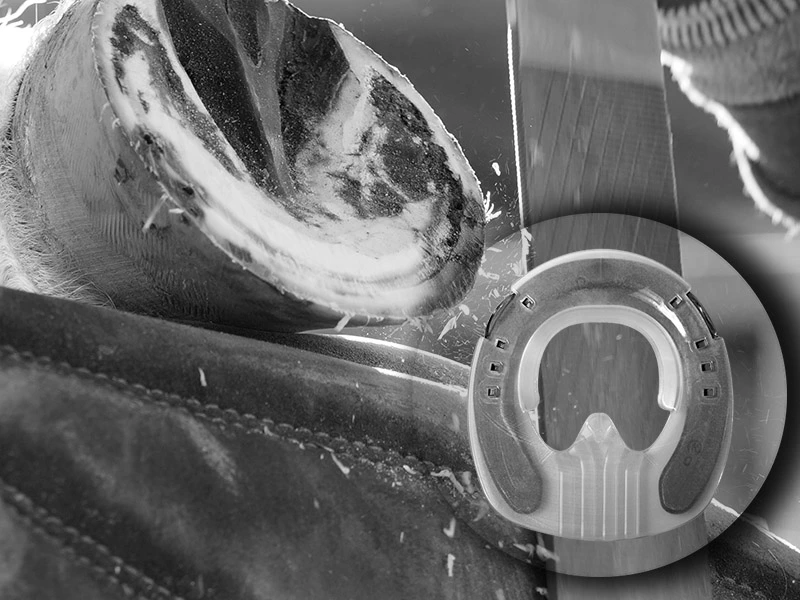 The horse's hoof rests on the farrier's leg as he rasps it. The image also shows a close-up of the hoof pad designed for Kerckhaert Comfort horseshoes.