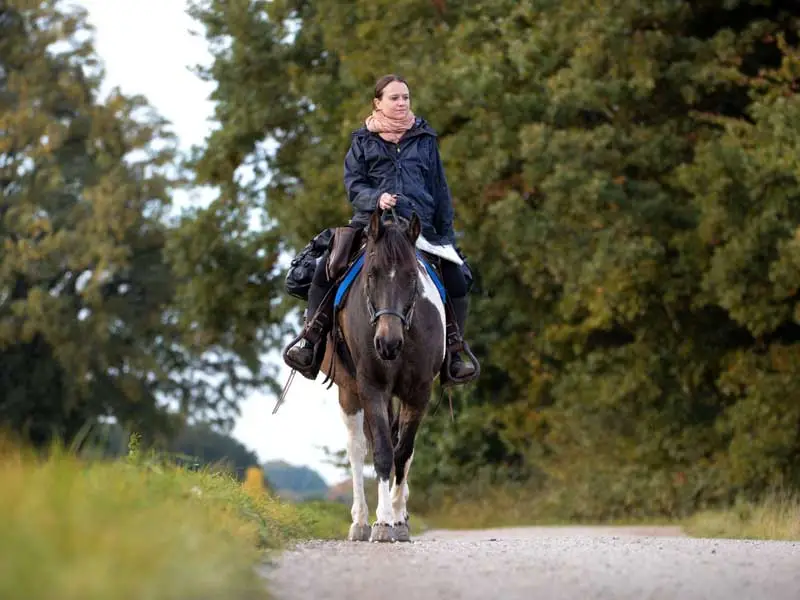 a rider is riding on a dirt road, her horse shod with plastic horseshoes; she is holding a map in her hand and a large saddlebag is attached to the saddle