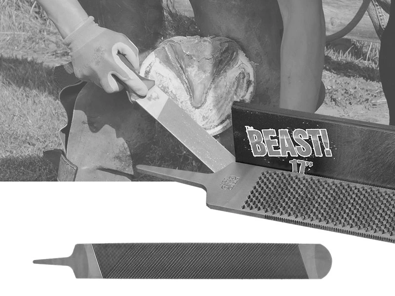 Un herrador está limando el casco de un gran percherón. Vista de cerca de la lima para cascos Save Edge the BEAST.