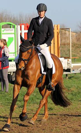 rider in the dressage arena