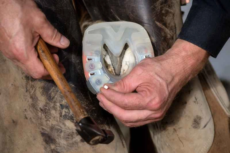 Nailing an alternative hoof protection with side clips to the horse's hoof