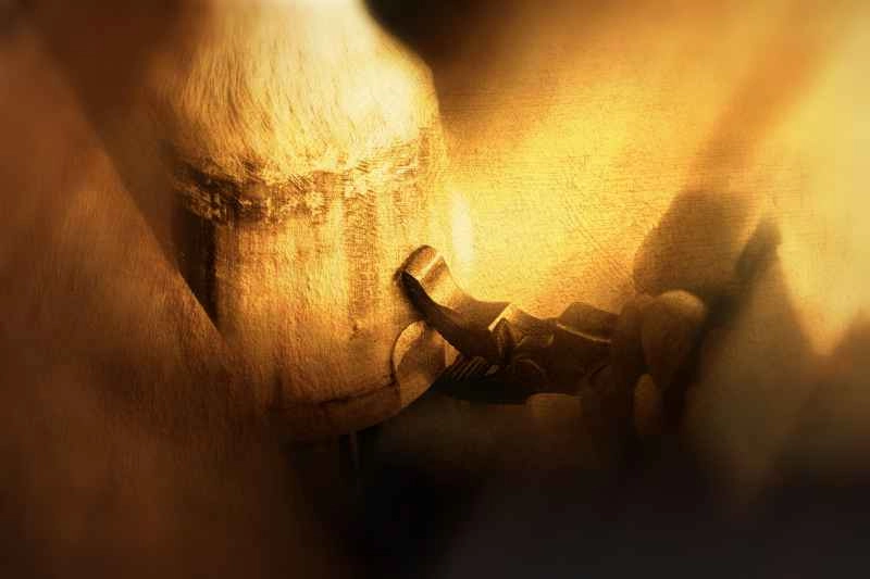 detailed view - a farrier clinching when working with a composite horseshoe